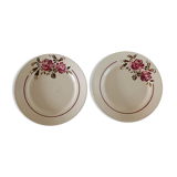 Two iron earth plates decorated with rose