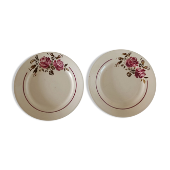 Deux assiettes terre de fer à décor de rose