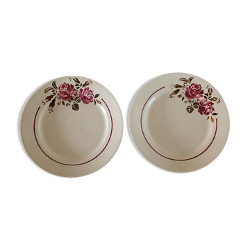 Two iron earth plates decorated with rose