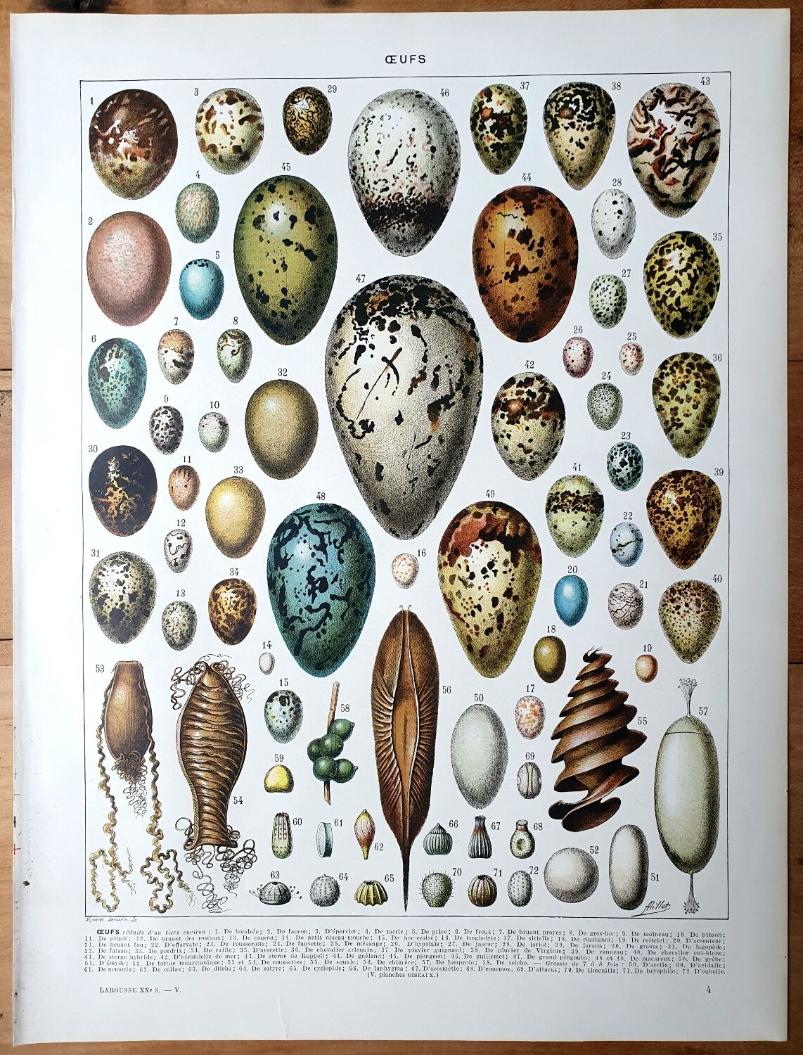 Egg board poster 40s