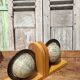 Pair of greenhouses vintage wooden books world map