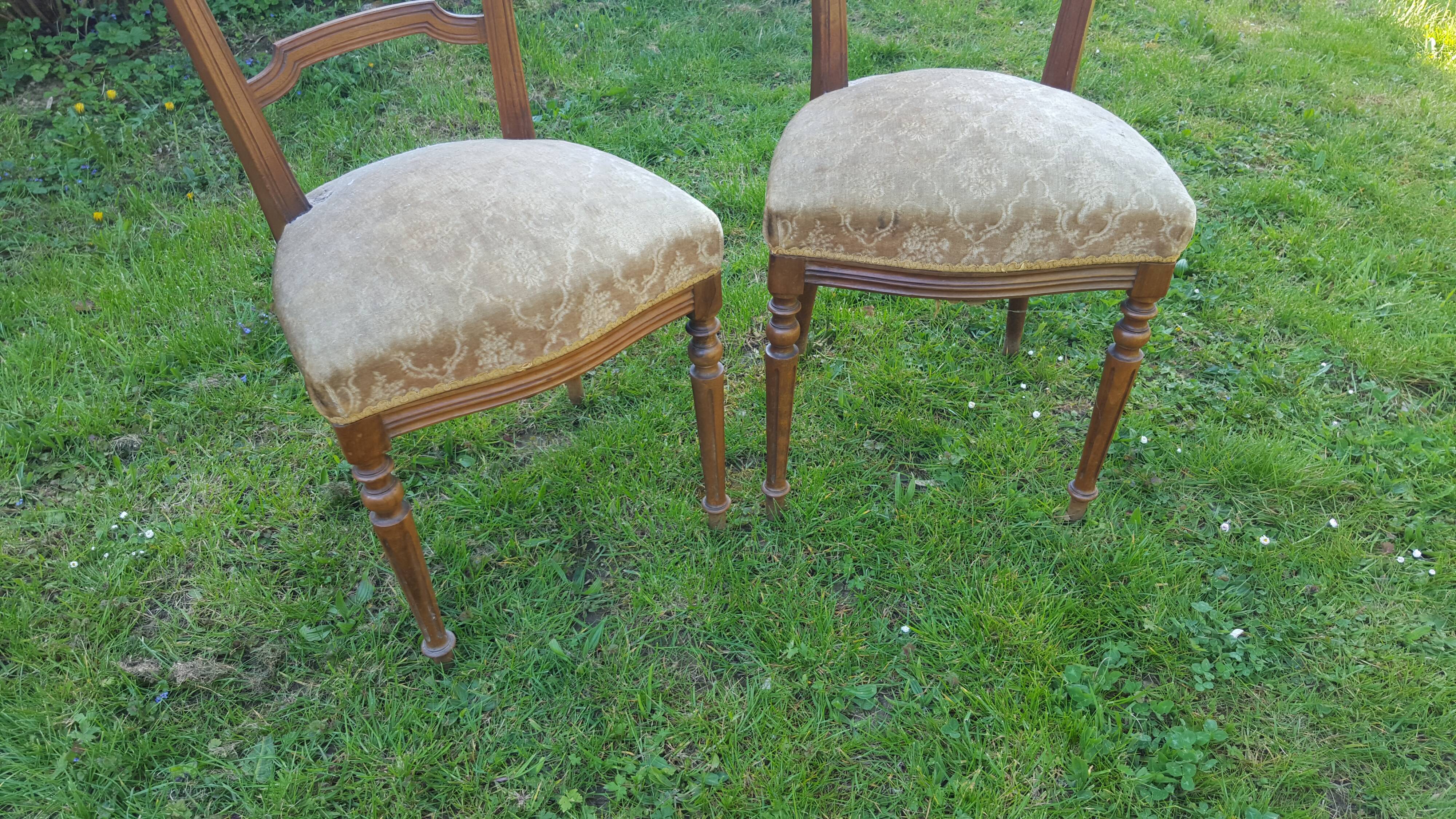 Pair of Napoleon III style chairs