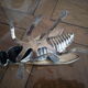 Cendrier mouche