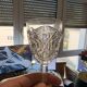 Vintage Service Set 9 Glasses Liqueur Wine Water Baccarat Crystal Lagny