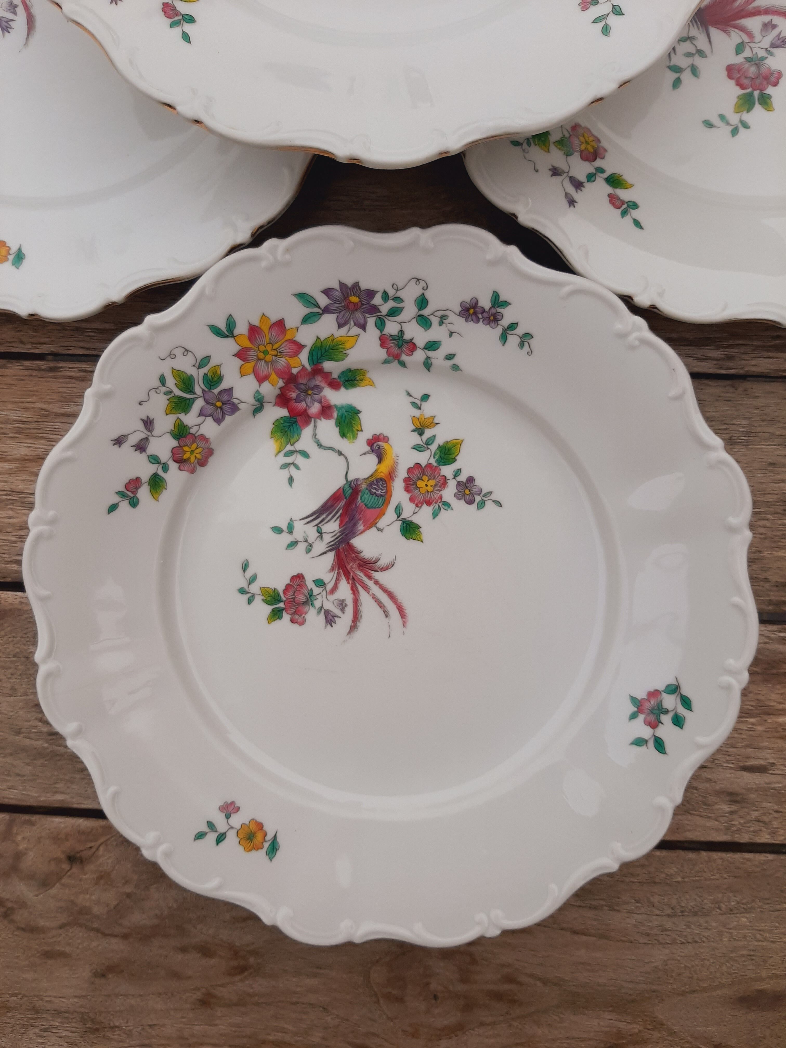 6 porcelain plates Bird Seltmann Weiden