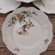 6 assiettes porcelaine Oiseau Seltmann Weiden