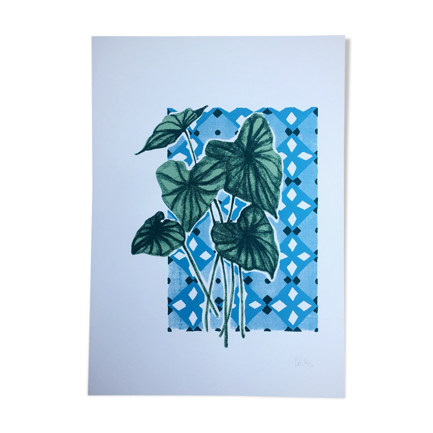 Illustration Dream in southern winter