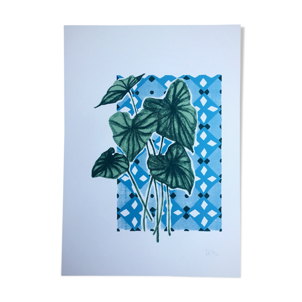 Illustration Songe en hiver Austral