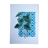 Illustration Dream in southern winter