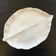 Plat feuille nervurée en porcelaine