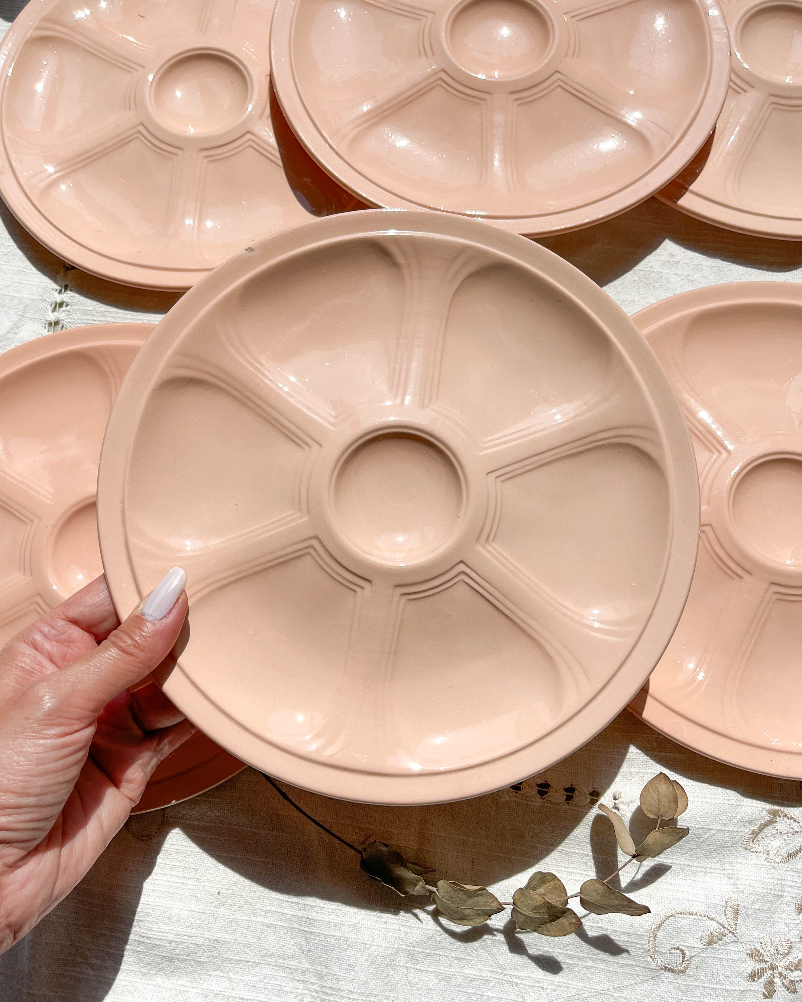 6 pink porcelain oyster plates from Digoin Sarreguemines