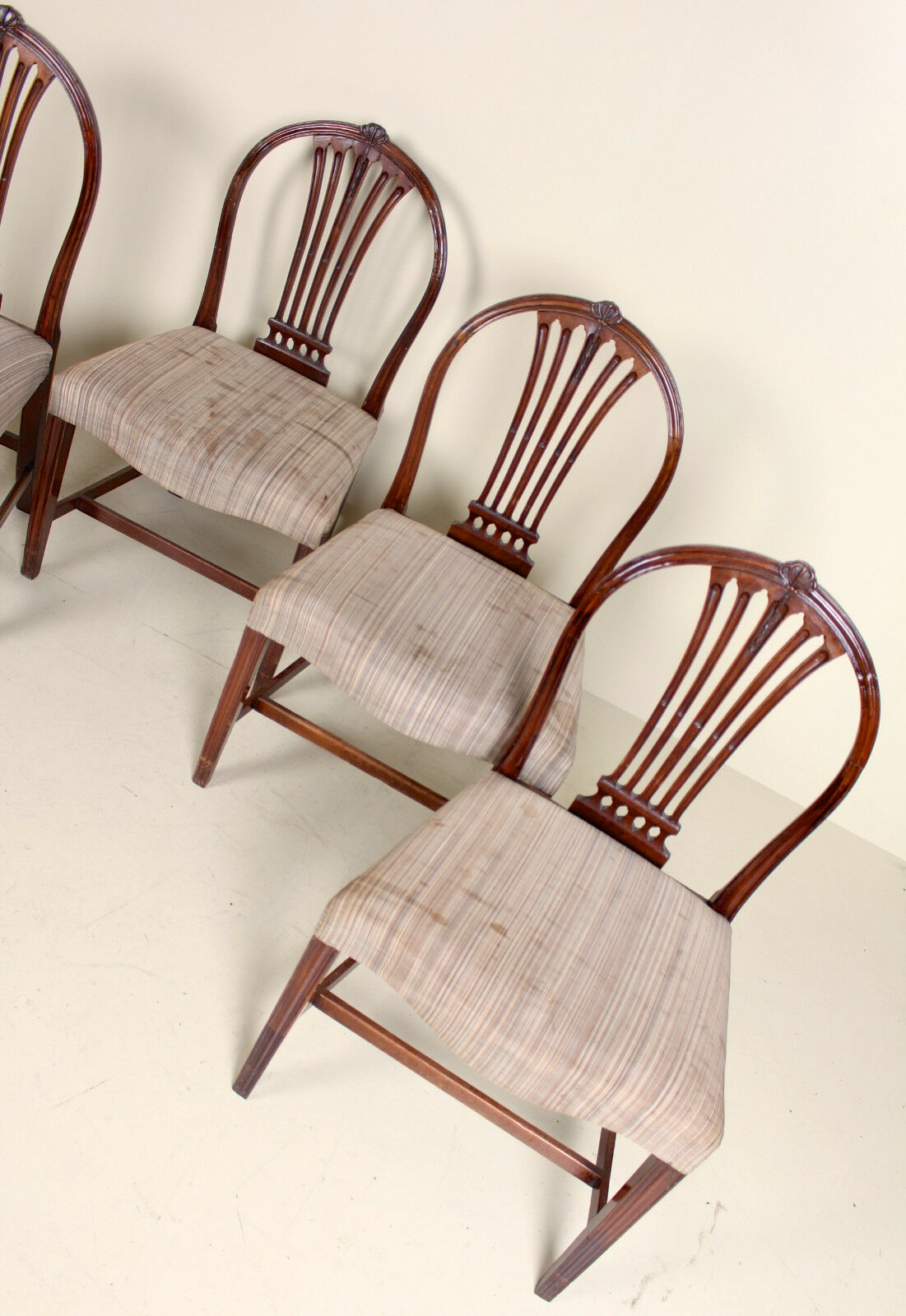 Following 5 chairs antique George IV mahogany Georgian with folder