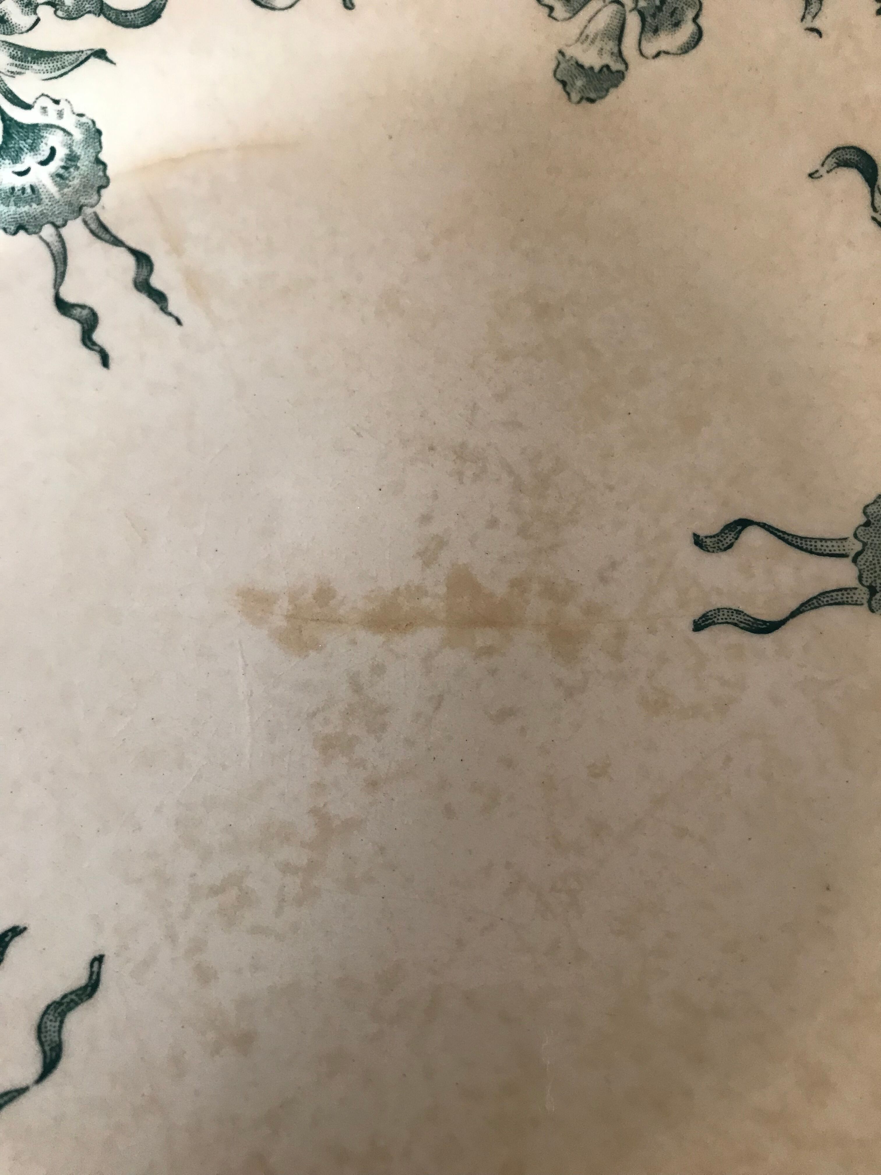 Flat plates in opaque porcelain from Gien "Venice"
