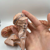 Anatomical brain model