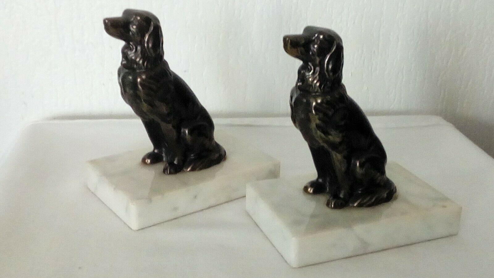 Serre livres chien epagneul breton