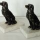 Serre livres chien epagneul breton