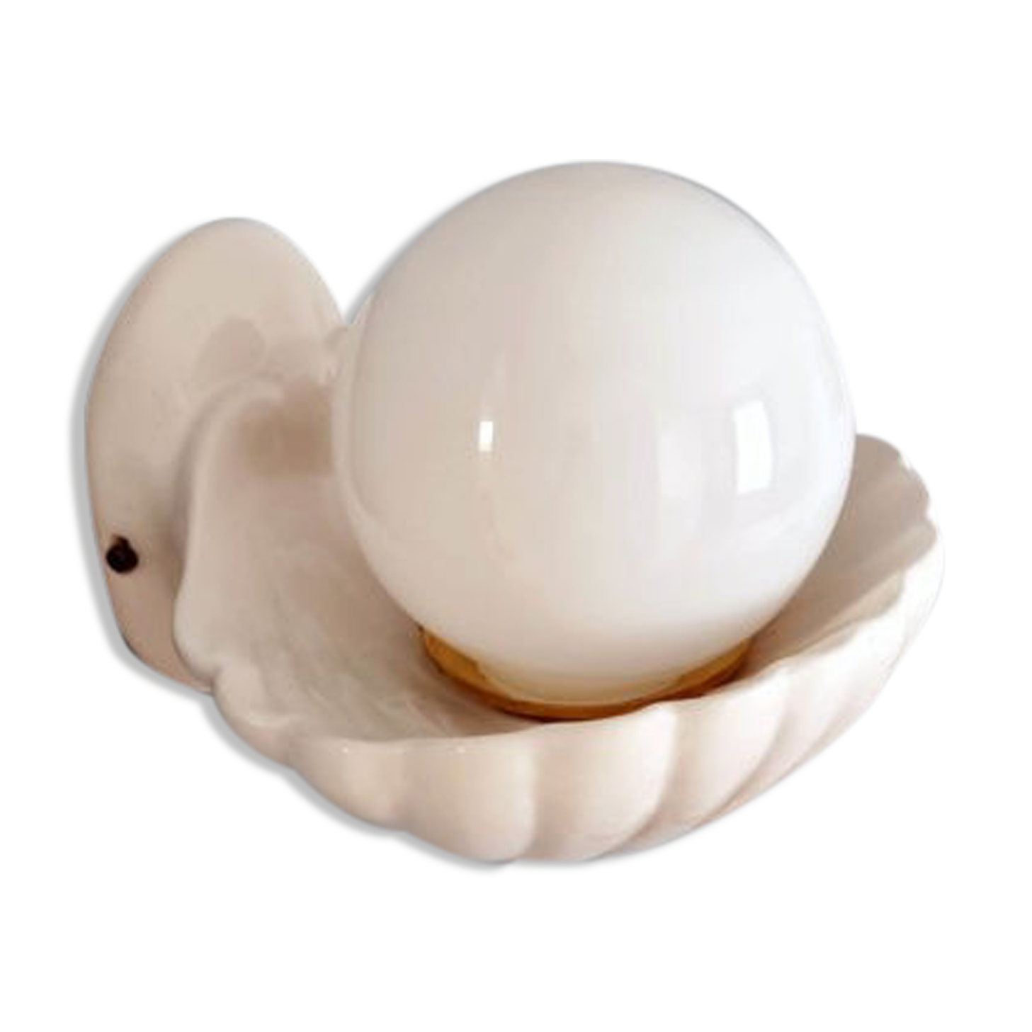 Shell wall lamp