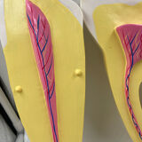 Large size dental model 3 tooth