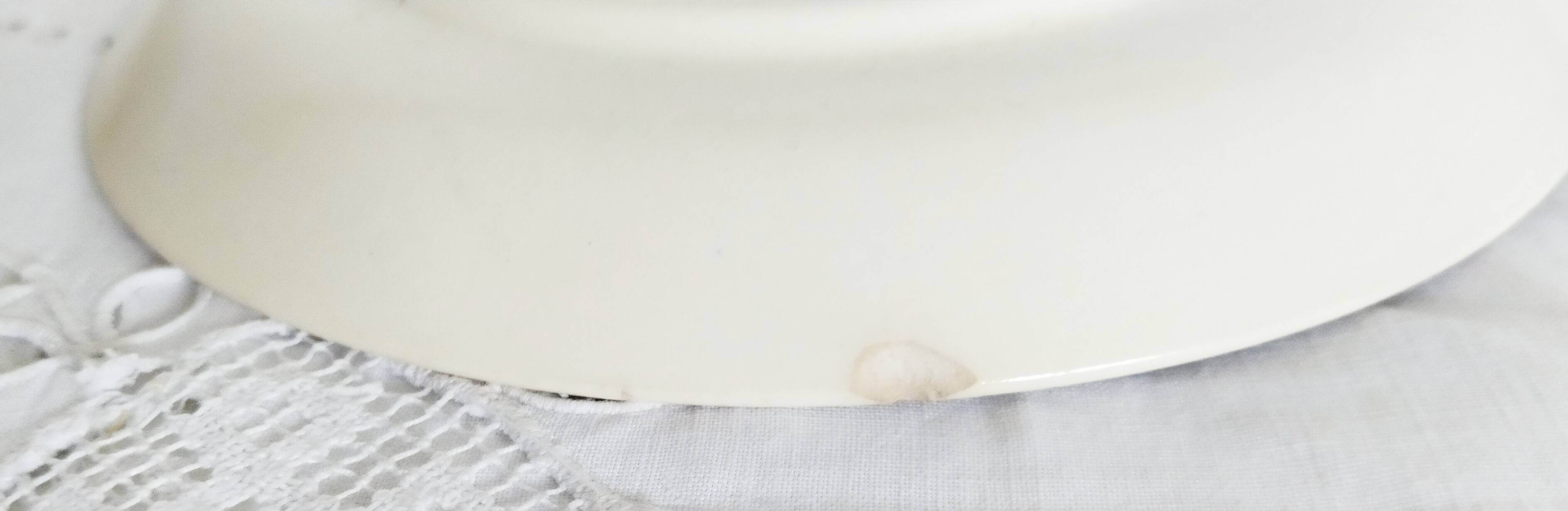 Sarreguemines earthenware plate, "Wagram" motif