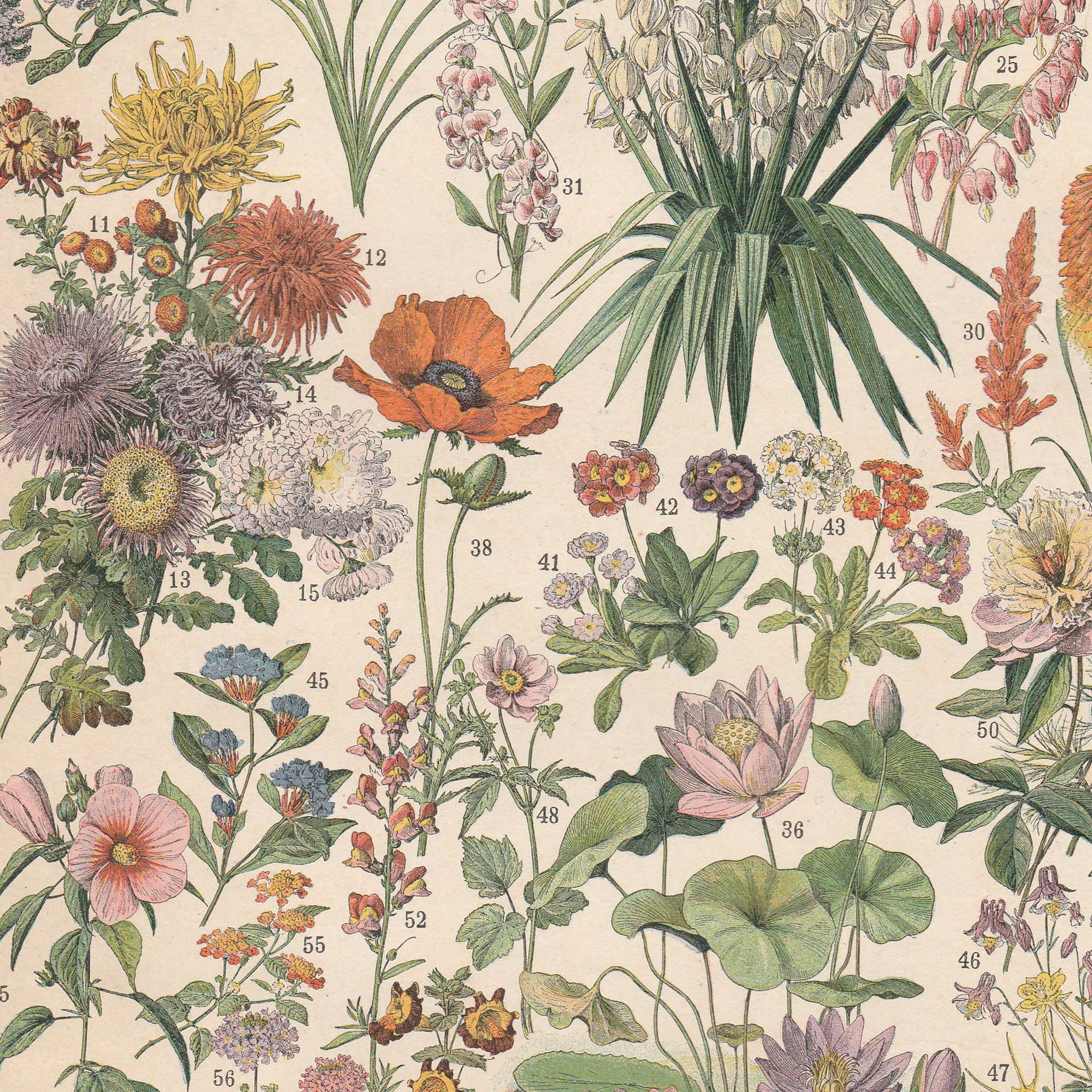 Old plate on flowers 1897
