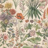 Planche ancienne sur les fleurs 1897