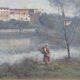 Peinture  Reproduction d'un tableau de Corot  cadre bois doré