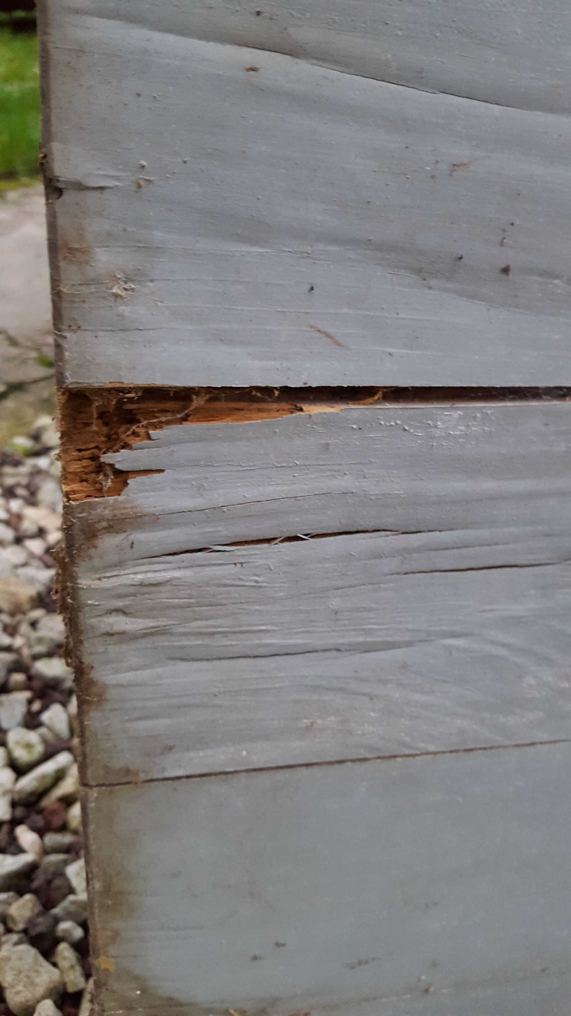 Old grey patina door