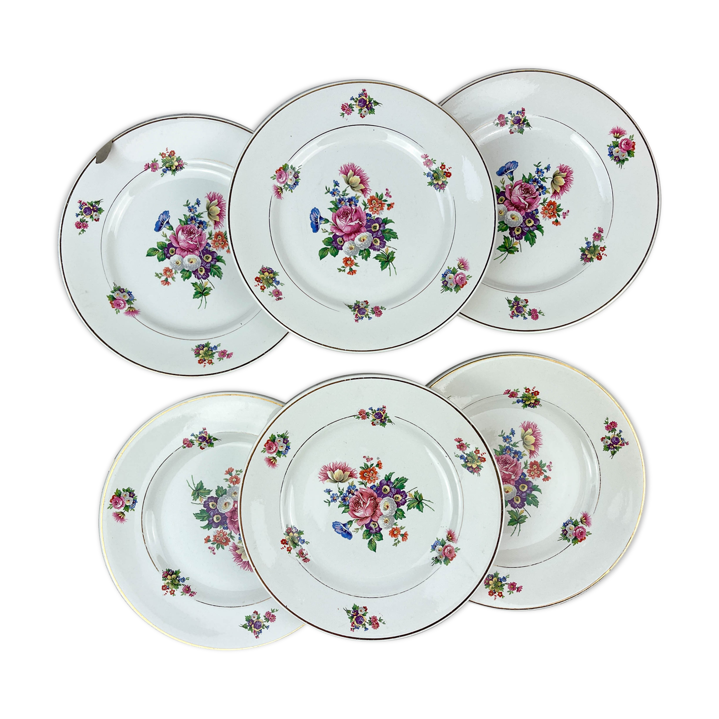 6 assiettes terre de fer salins modèle "anny" motif fleuris