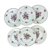 6 plates earth of iron salins model "anny" floral pattern