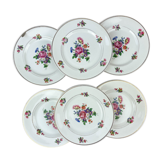 6 plates earth of iron salins model "anny" floral pattern