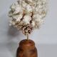 Antique natural white coral on turned wooden base, H25 cm