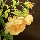 Golden frame with gold leaf - ancient botanical poster