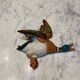 Duck Beswick England