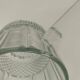 Crystal champagne bucket