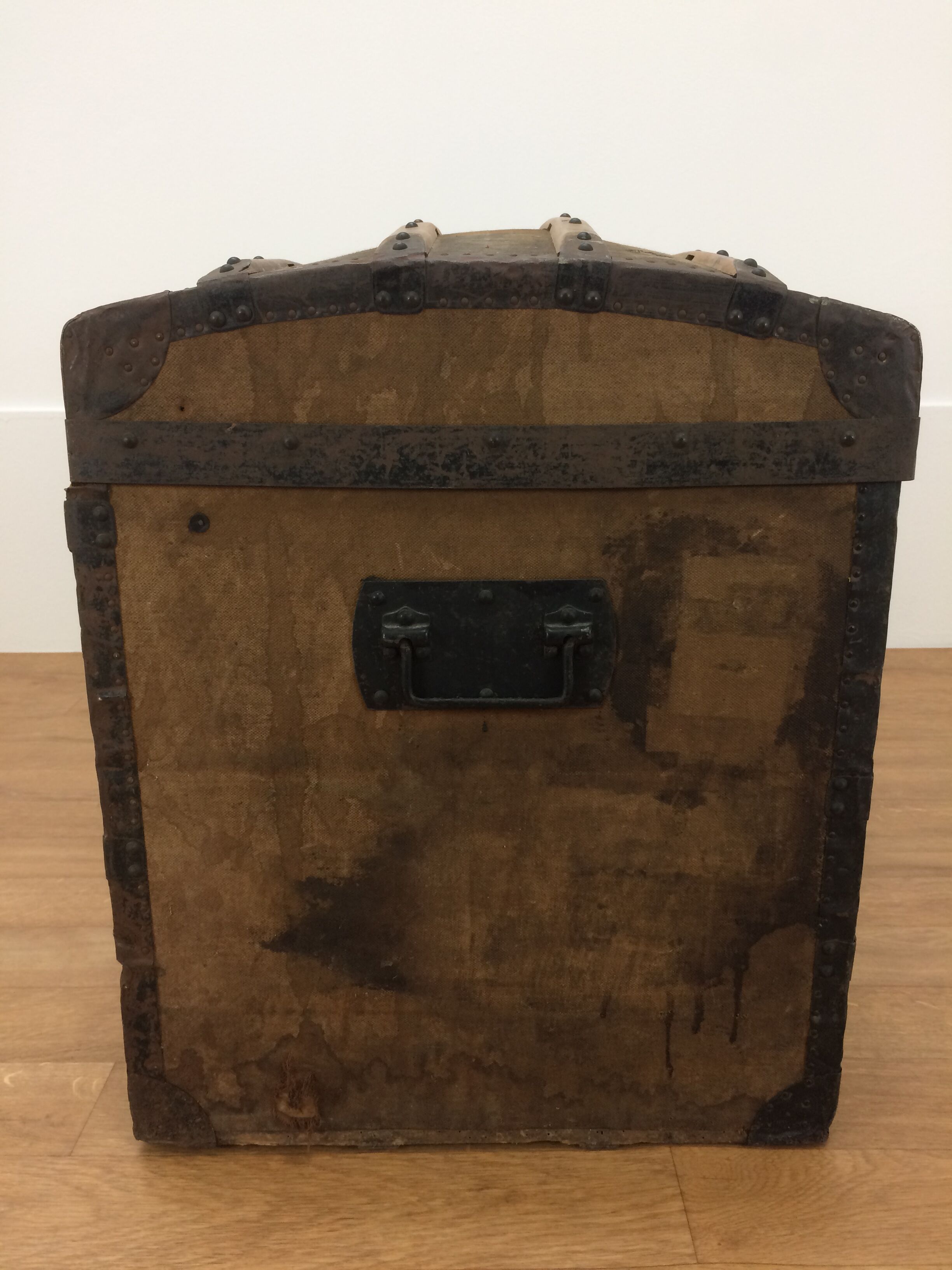 Bulging trunk at the tourist