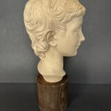 Young woman's head