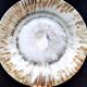 6 ceramic dinner plates. Handcrafted, handmade.