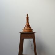 Lampe de table de spécimen en bois du milieu du siècle