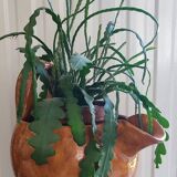 BIOT ceramic jug