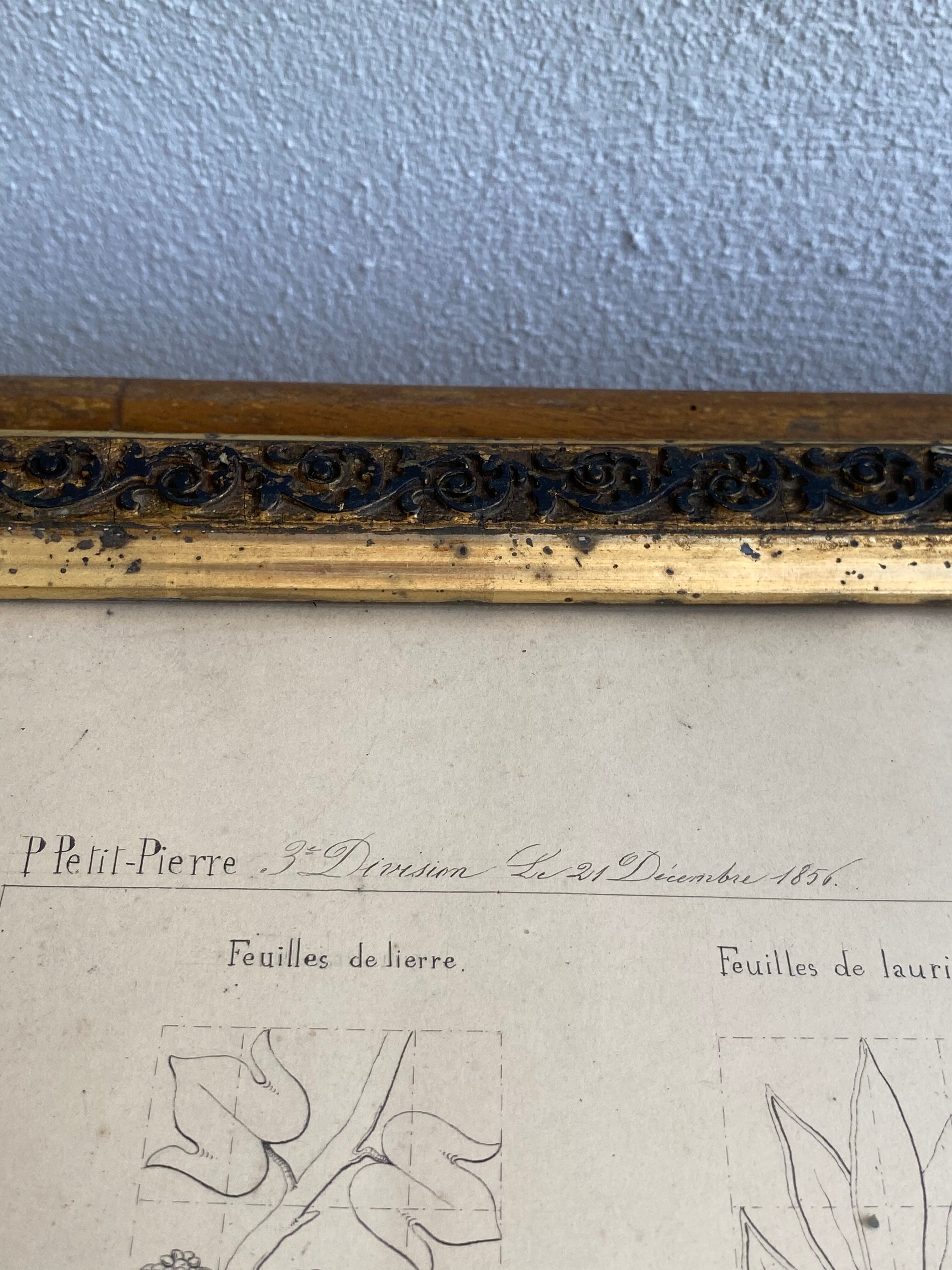 Architectural drawing 1857, glazed wood frame