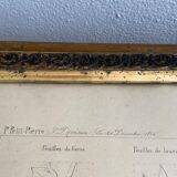 Architectural drawing 1857, glazed wood frame