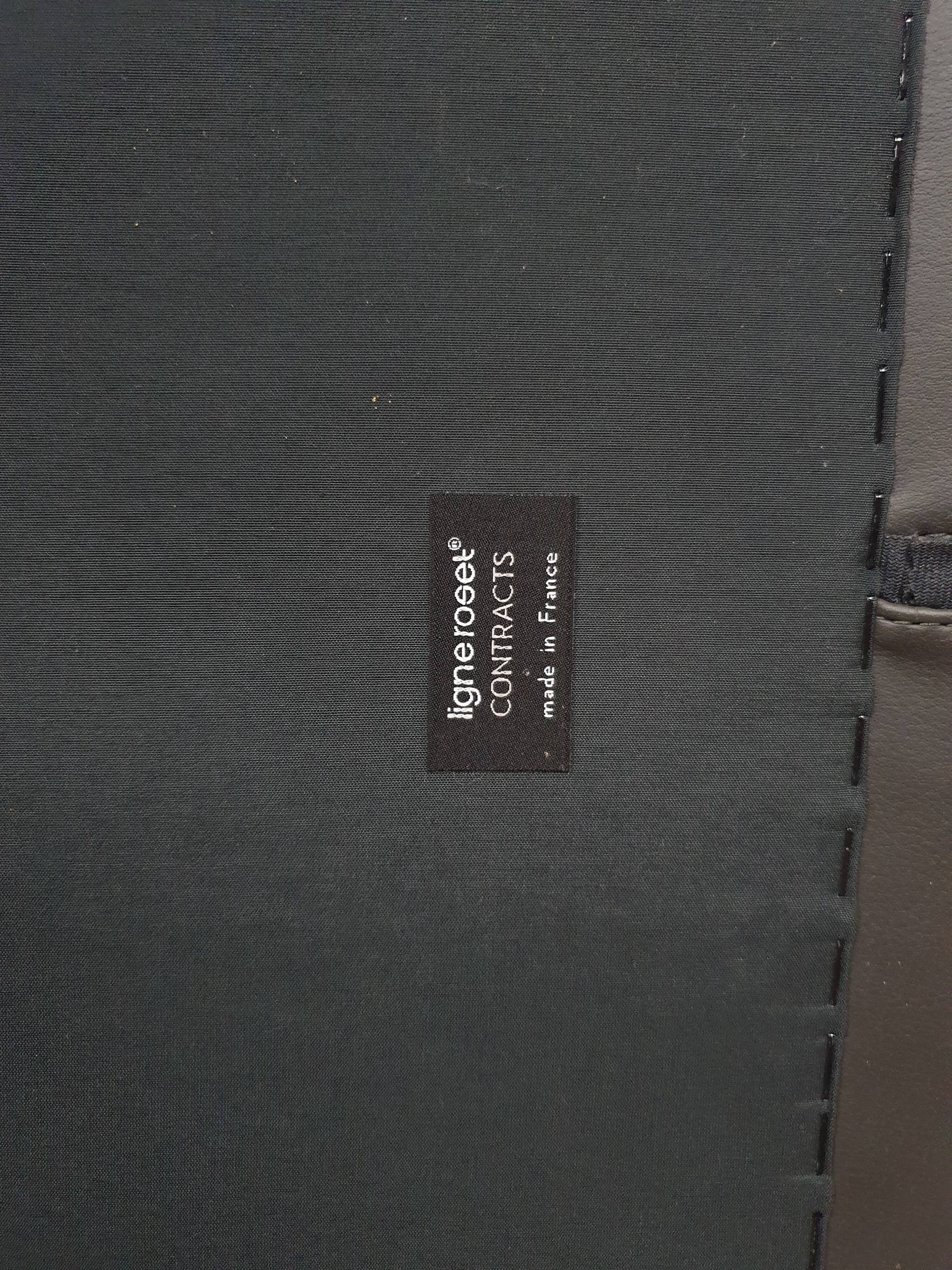 Tazia driver by Pascal Mourgue