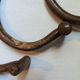 Set of curved wooden coat hooks in Thonet style.