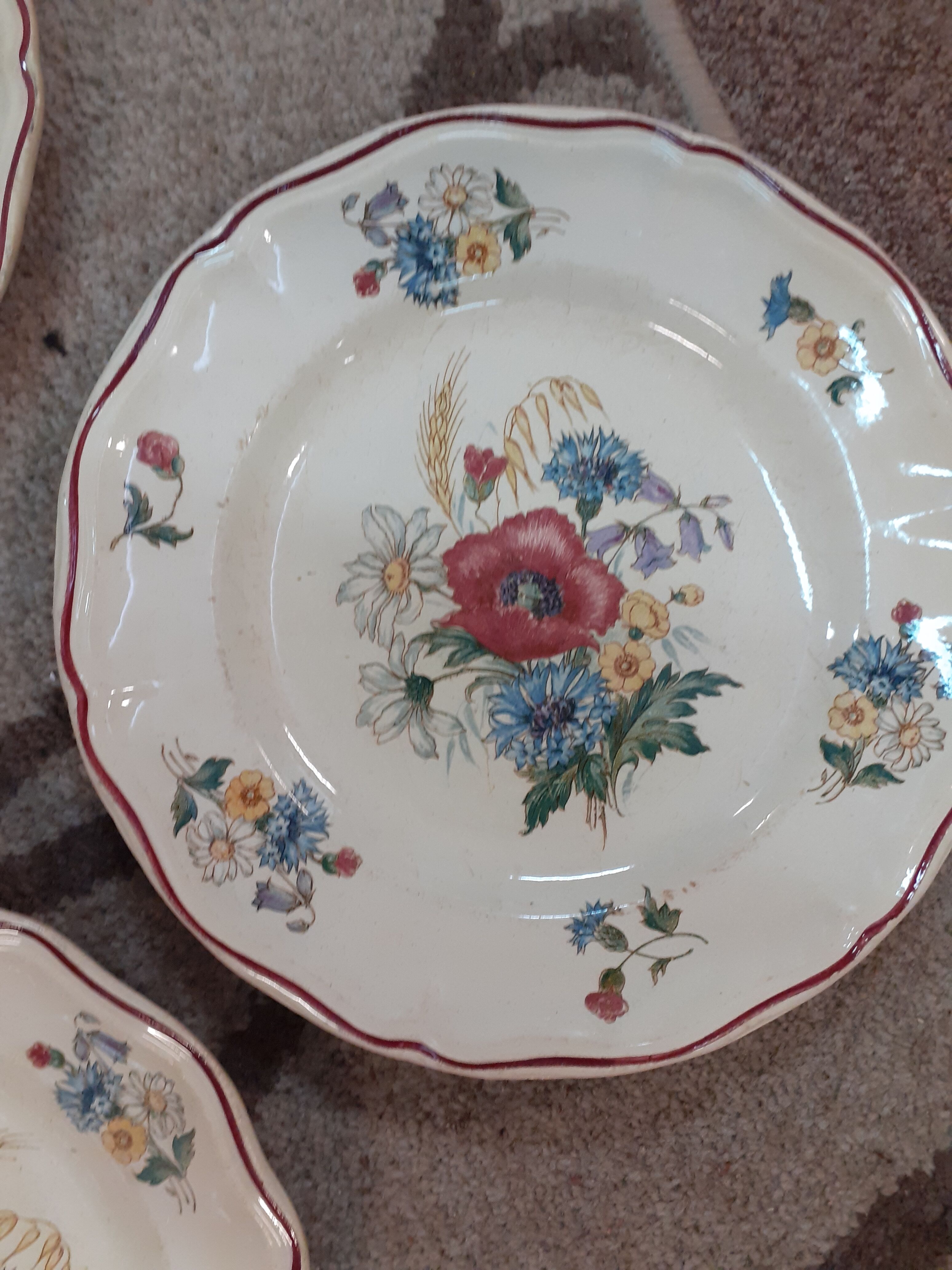 Lot of 6 flat plates Sarreguemines model aggressive