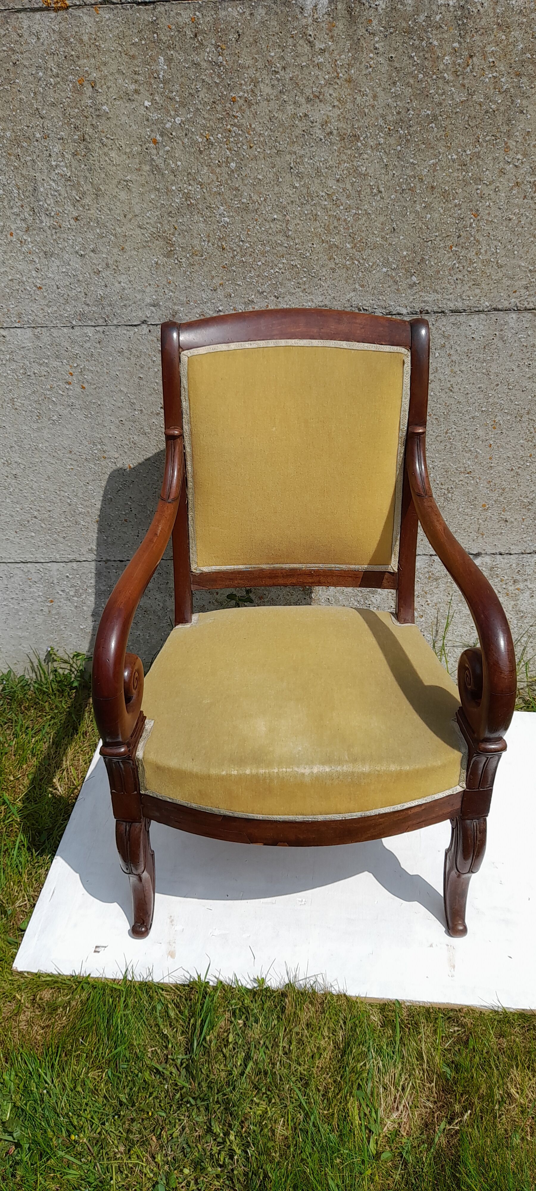 Mahogany butt armchair and mahogany veneer XIX th