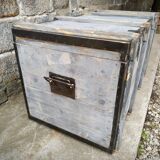 Travel trunk