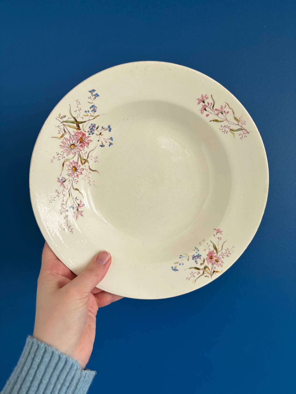 Set of 6 soup plates and 1 dish in polychrome ironstone Choisy-le-Roi