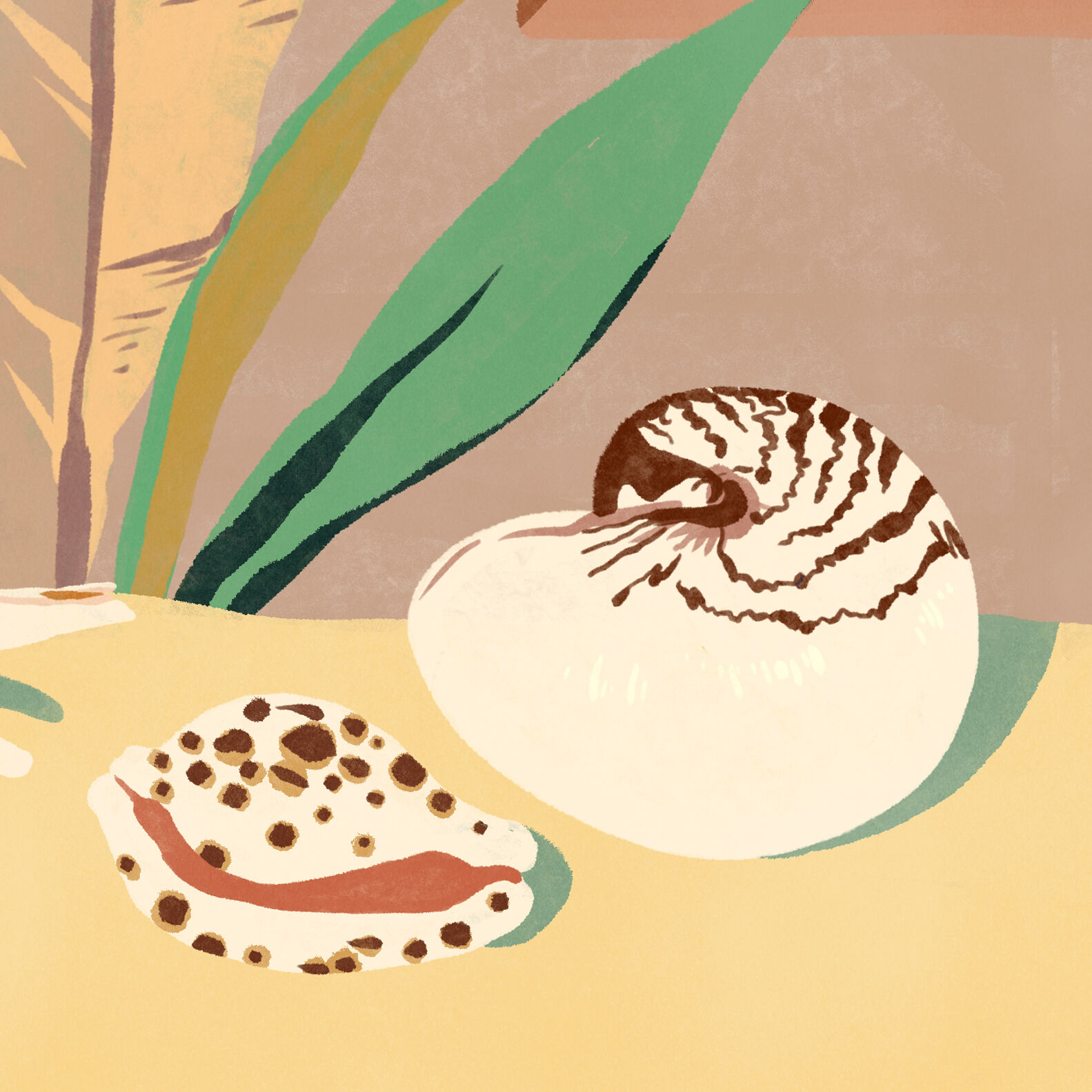 Terraqué, illustration