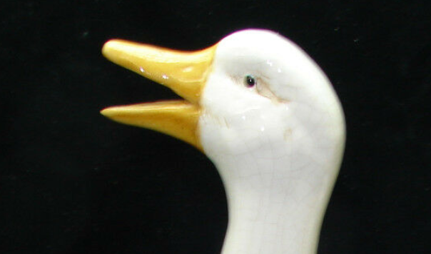 Duck jug
