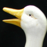 Duck jug